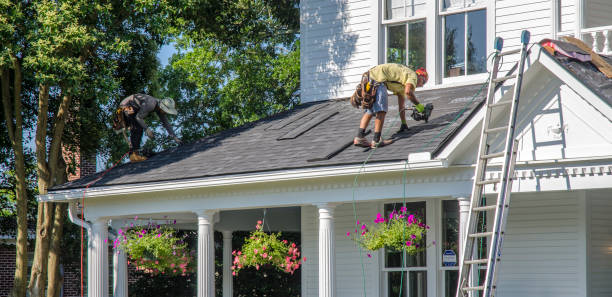 Professional Roofing in Hainesville, IL